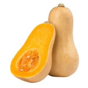 Fresh Butternut Squash (Farm-fresh Butternut Squash)